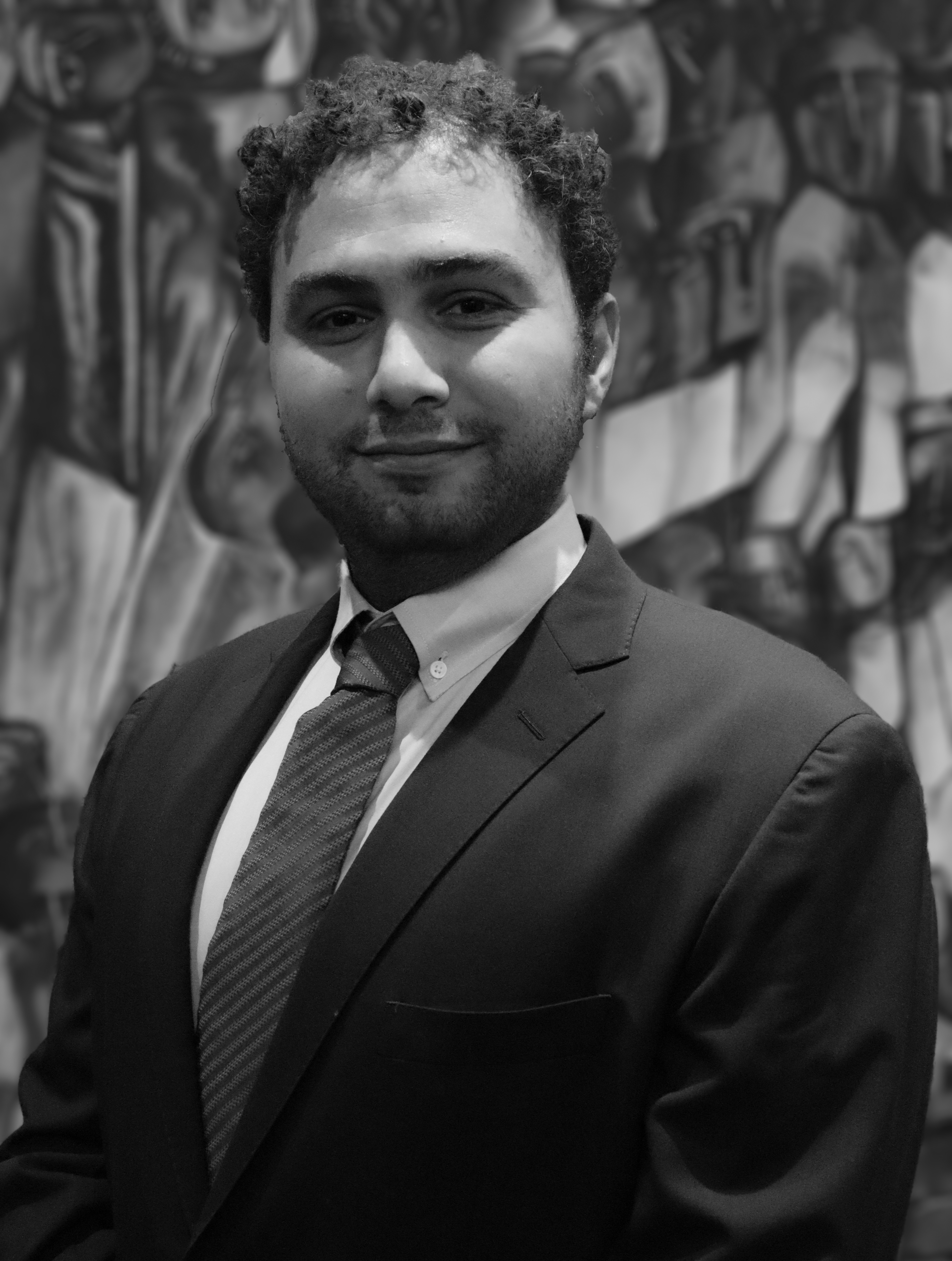 Adam El Shalakany