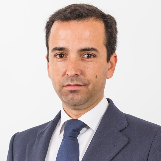 Luis Javier Vidal Calvo