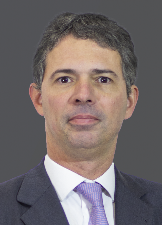 Gustavo Fernandes de Andrade
