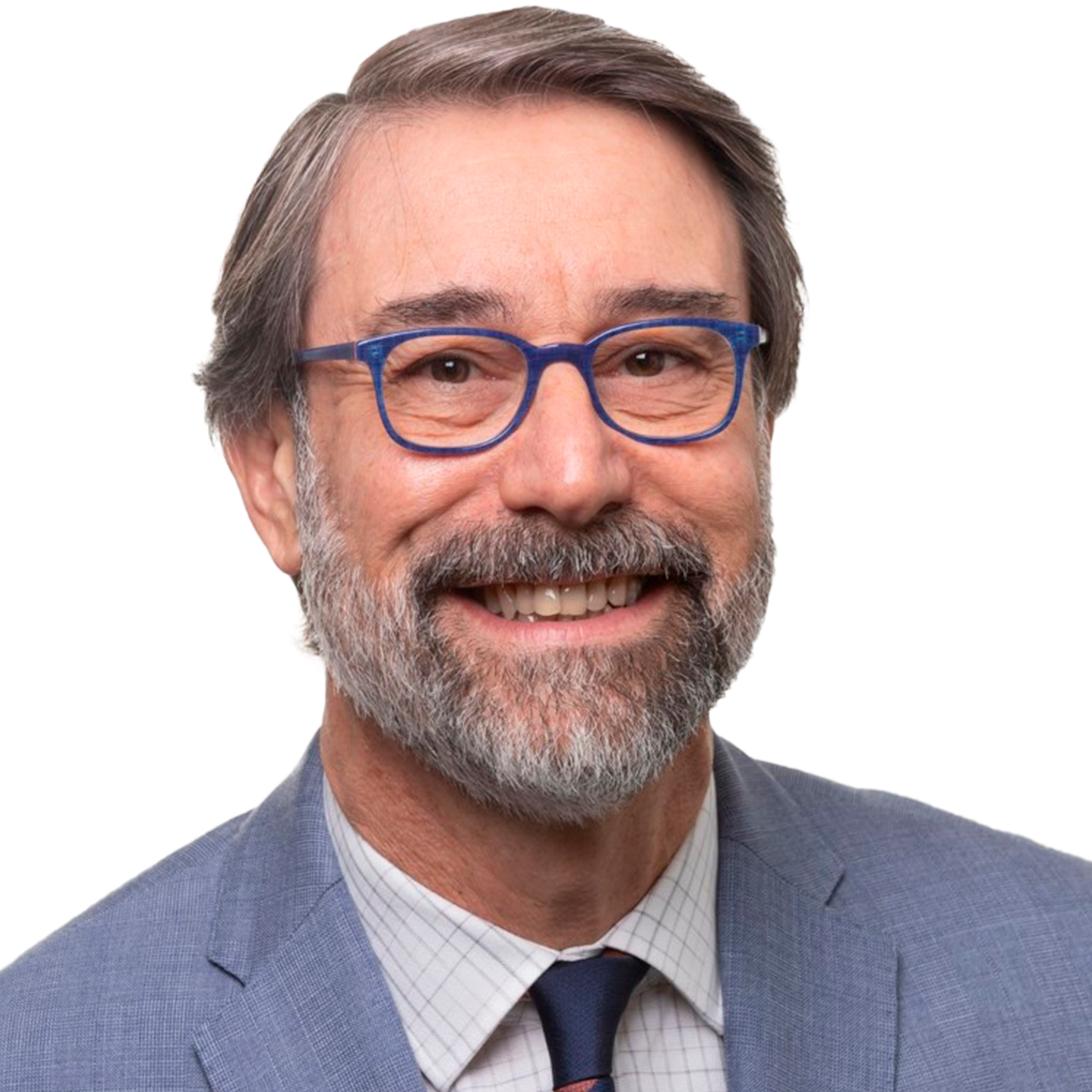 Luís Antônio Ferraz Mendes