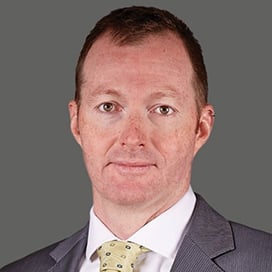 David Irvine