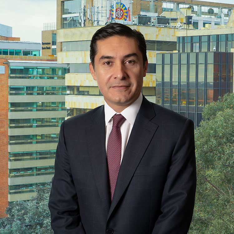 Néstor Camilo Martínez