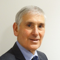 David Kaye
