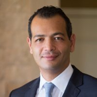 Ayman A Khaleq