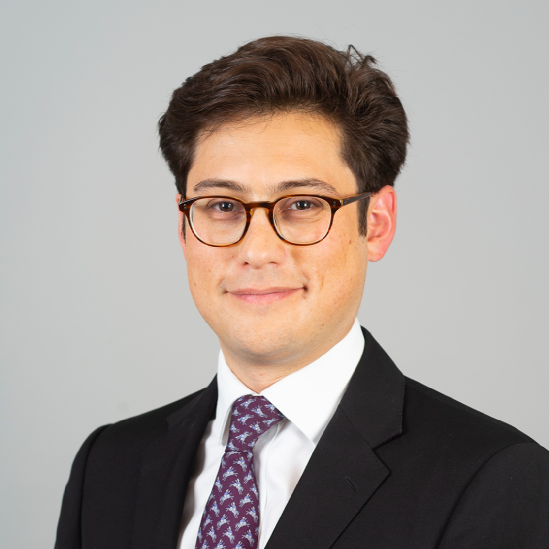 Rest in Peace Lord Desai. Such a brilliant mind, and such a kind and  generous soul. | Sudhanshu Swaroop KC, image size:1115x1115